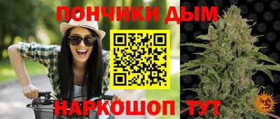сатива Пушкино