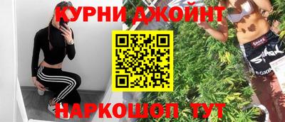 сатива Пушкино