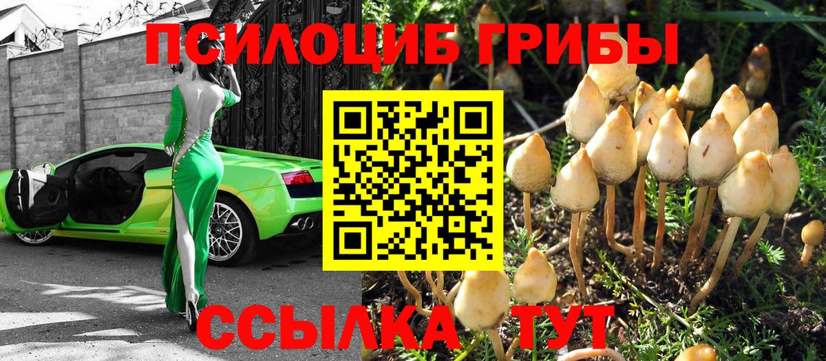 Галлюциногенные грибы ЛСД Тавда