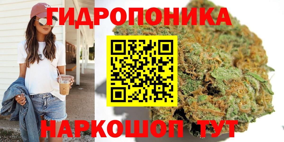 Каннабис индика Тавда